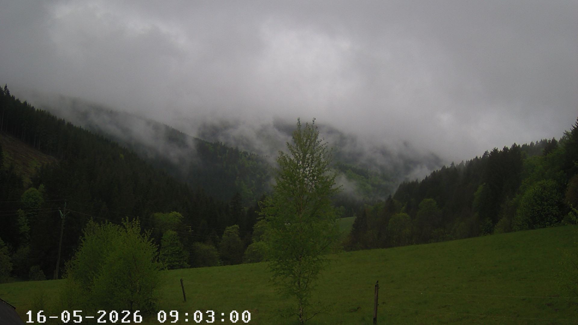 Webcam - Visalaje